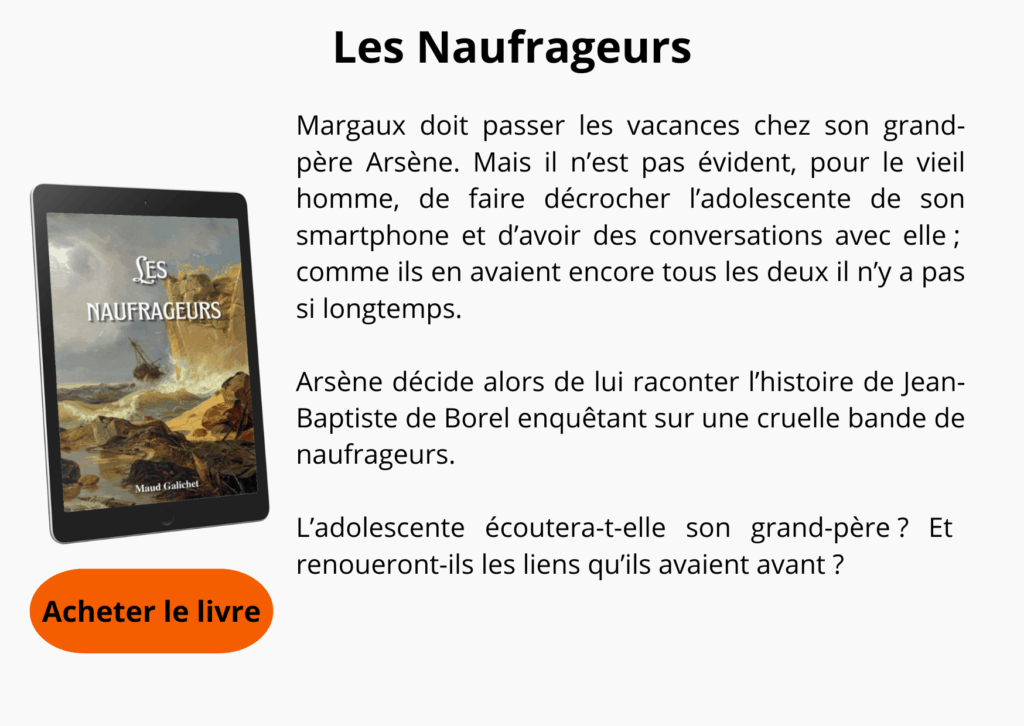 Description du roman "Les Naufrageurs".